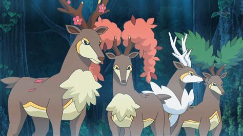Sawsbuck .